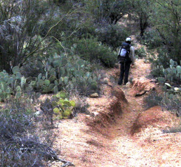 Old trail route